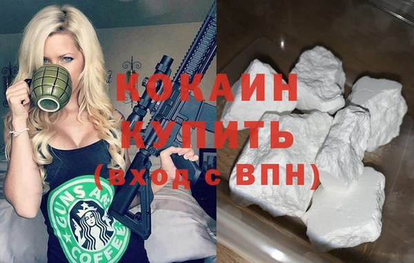 твердый Аркадак