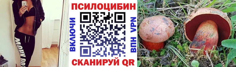 Псилоцибиновые грибы MAGIC MUSHROOMS  где найти   Суворов 